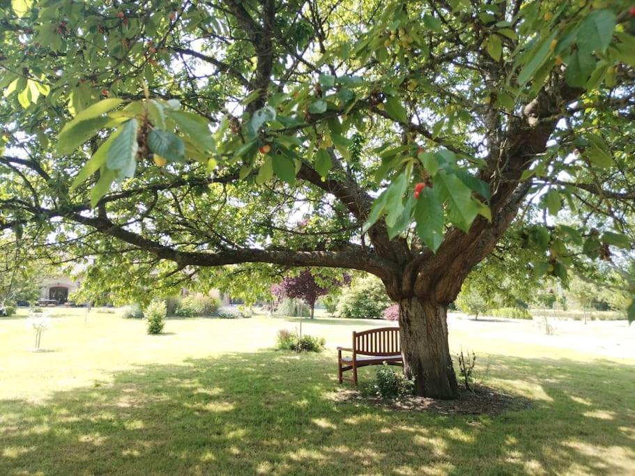Domaine Des Cerisiers Lägenhet Berville-sur-Mer Exteriör bild