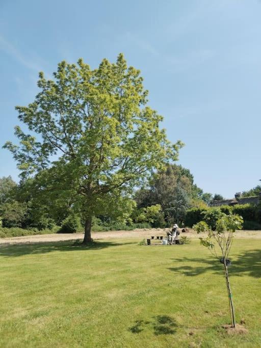 Domaine Des Cerisiers Lägenhet Berville-sur-Mer Exteriör bild
