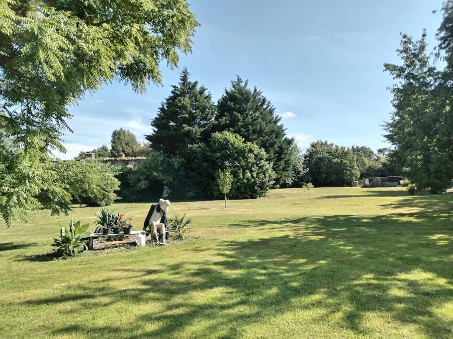 Domaine Des Cerisiers Lägenhet Berville-sur-Mer Exteriör bild