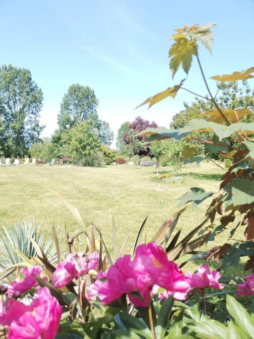 Domaine Des Cerisiers Lägenhet Berville-sur-Mer Exteriör bild